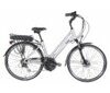 Ecobike Holland