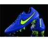 Nike Tiempo Legend V FG